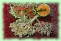 ALIMENTATION VIVANTE