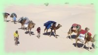 caravane