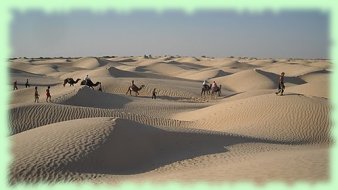 marche dans le Sahara