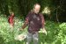 plantes sauvages