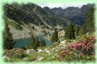 lac encantats