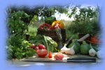 Légumes