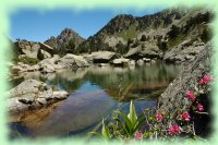 encantats